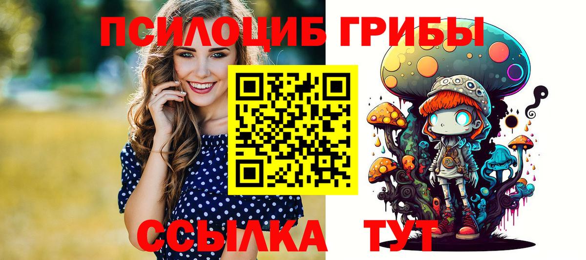 Псилоцибиновые грибы Cubensis Балтийск