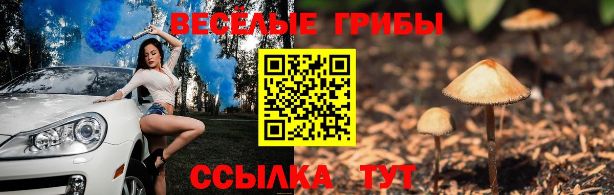 сколько стоит  Галлюциногенные грибы мухоморы  Вход с VPN  Балтийск 